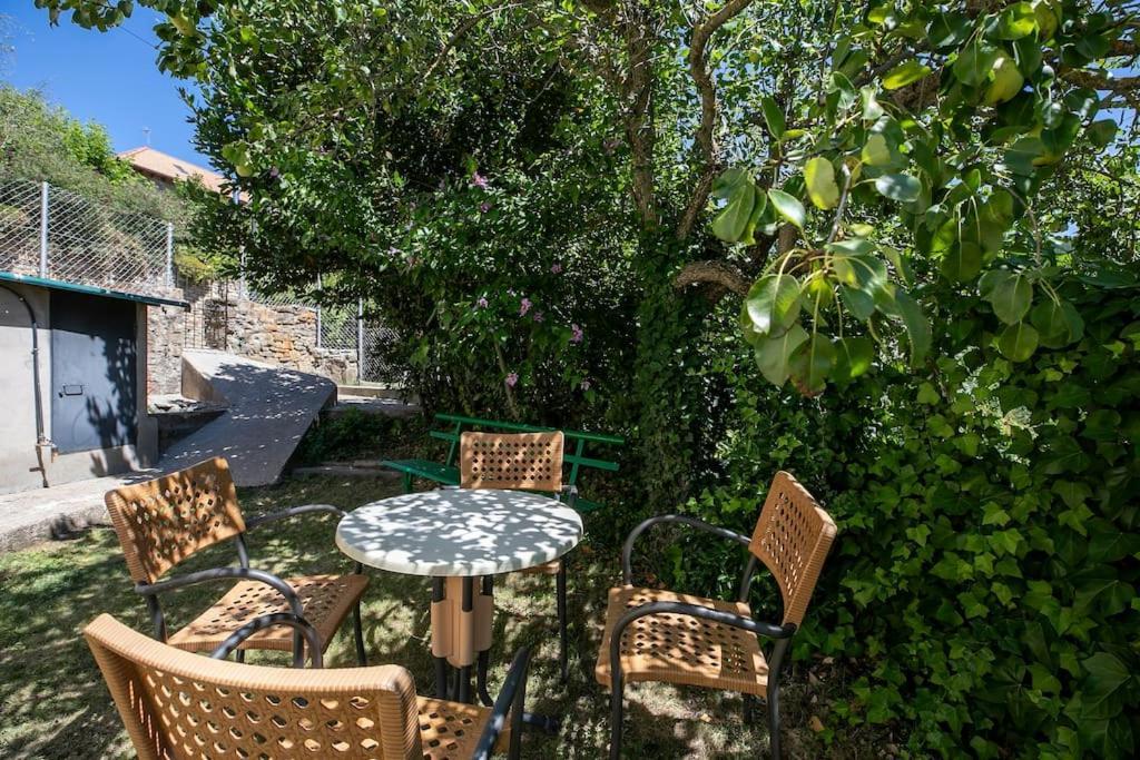 Casa Feli - Apartamento Con Jardin Privado En Los Pirineos Кастьельо-де-Хака Экстерьер фото