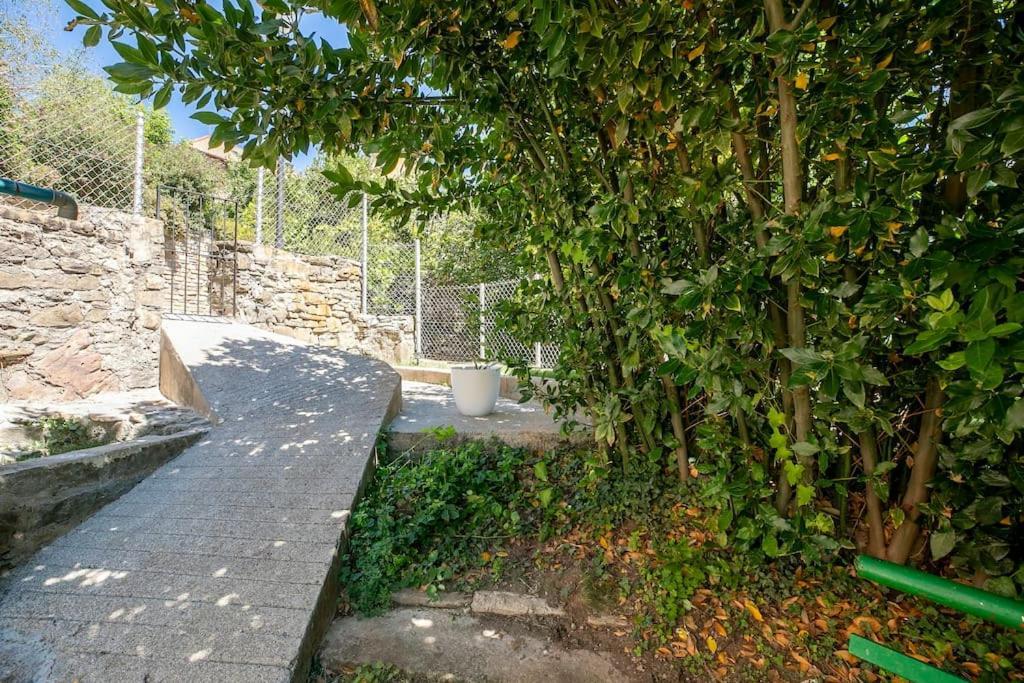 Casa Feli - Apartamento Con Jardin Privado En Los Pirineos Кастьельо-де-Хака Экстерьер фото