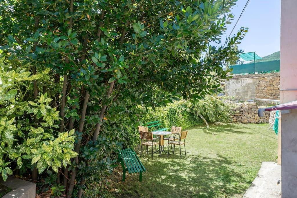 Casa Feli - Apartamento Con Jardin Privado En Los Pirineos Кастьельо-де-Хака Экстерьер фото