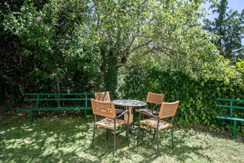 Casa Feli - Apartamento Con Jardin Privado En Los Pirineos Кастьельо-де-Хака Экстерьер фото