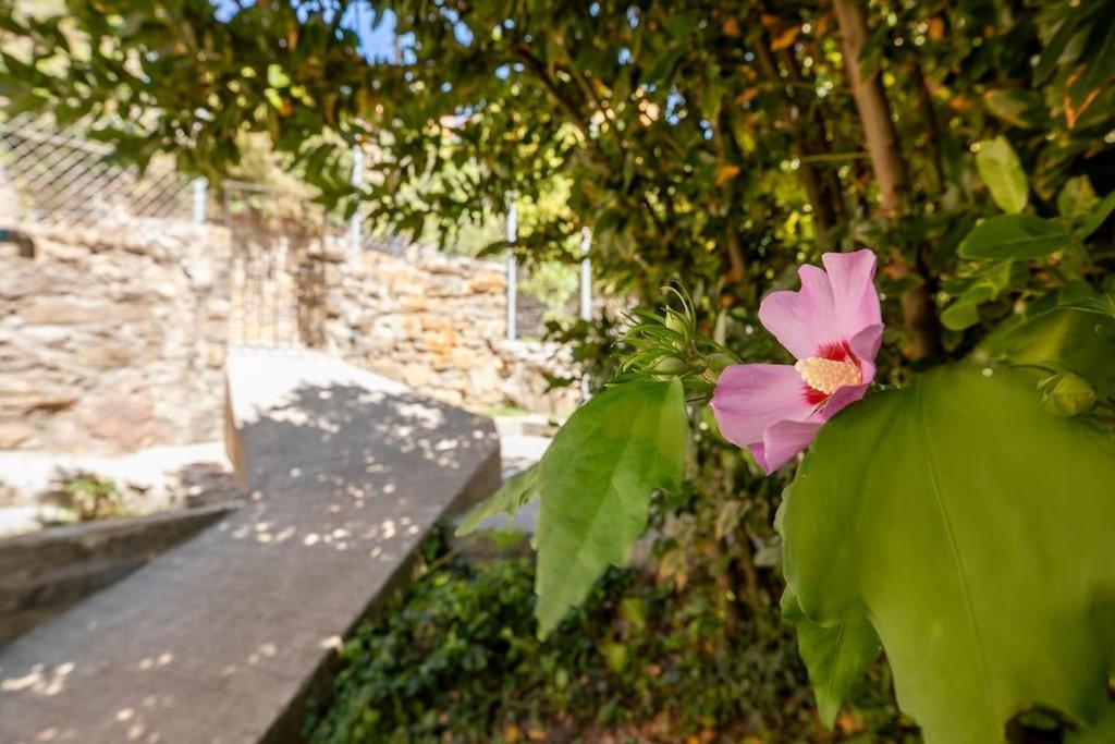 Casa Feli - Apartamento Con Jardin Privado En Los Pirineos Кастьельо-де-Хака Экстерьер фото